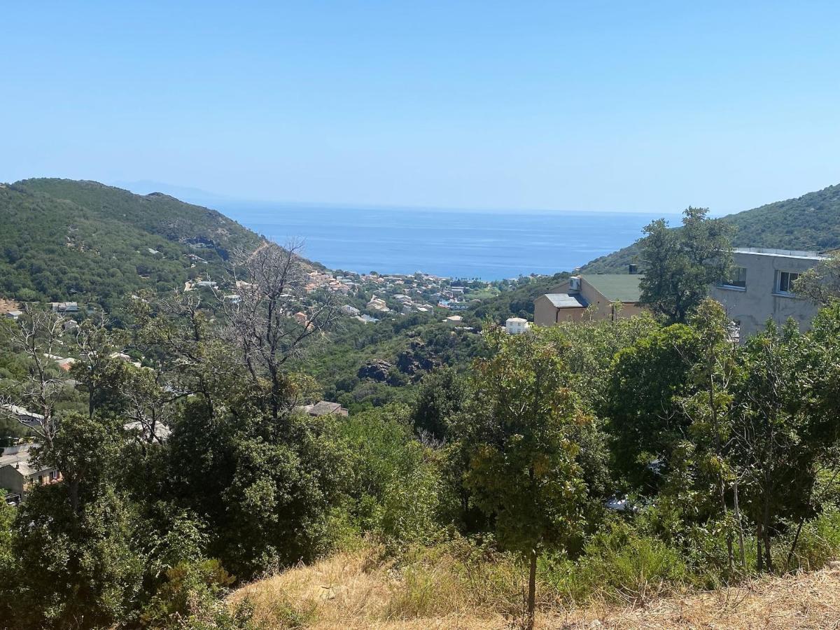 U Cavallu - Luxe Entre Mer Et Montagne Santa-Maria-di-Lota المظهر الخارجي الصورة